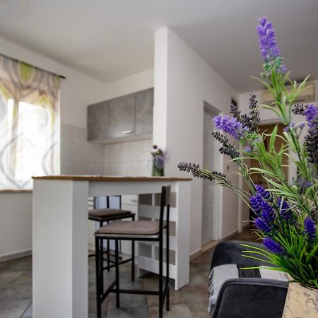 Apartments Ina & Ika Ровинь Экстерьер фото